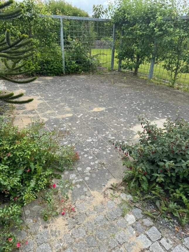 Flisebelagt terrasse omgivet af hegn og grøn beplantning